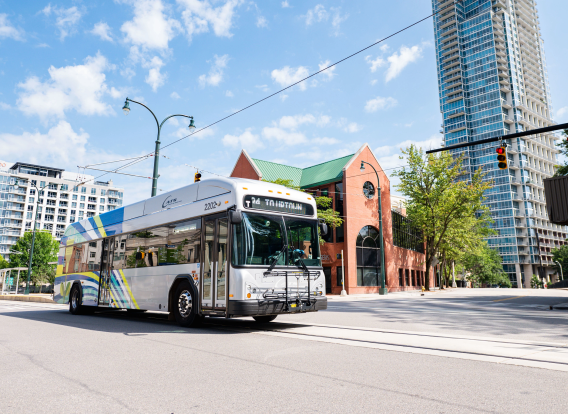 A CATS bus driving down a street in uptown Charlotte on a sunny day.