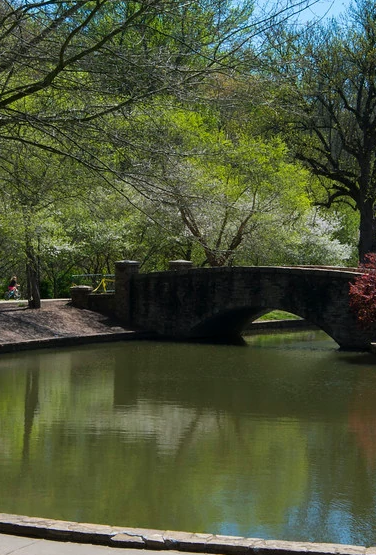 Trees and grass with a walking path and lake in the background on a sunny spring day.