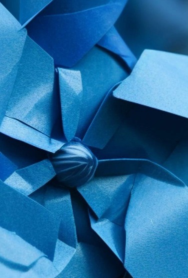 Closeup of blue pinwheels -  symbol of National Child Abue Prevention Month